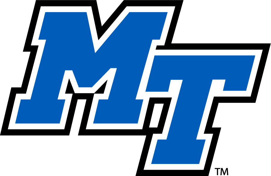 Middle Tennessee Blue Raiders 2015-Pres Secondary Logo diy DTF decal sticker